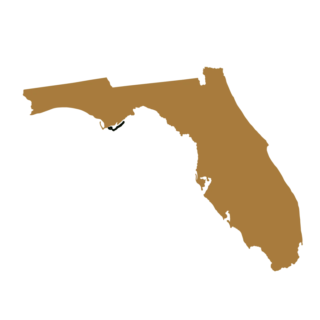 Brotman-State-Design_300px_14270_-Florida-1024x1024