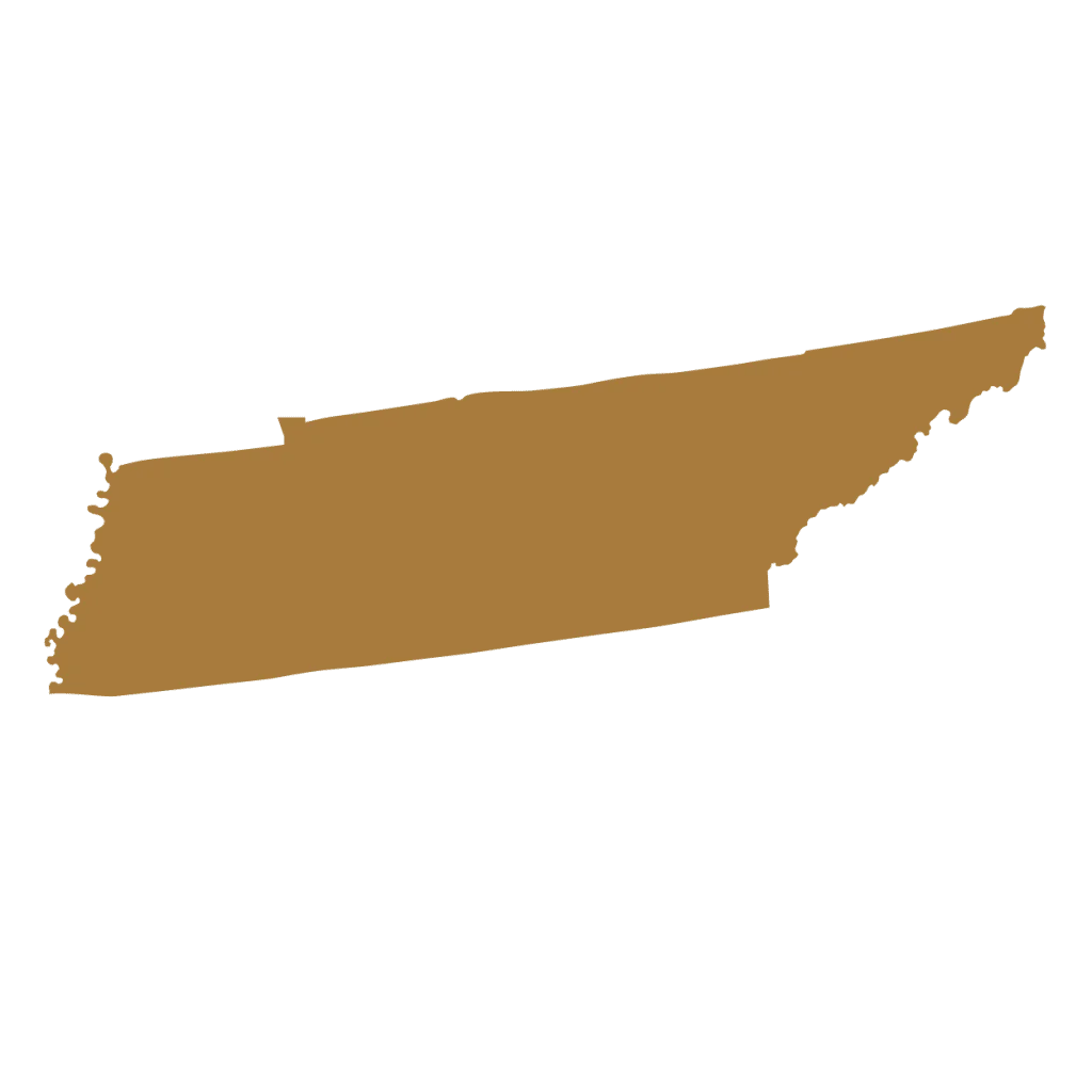 Brotman-State-Design_300px_14270_-Tennessee-1024x1024