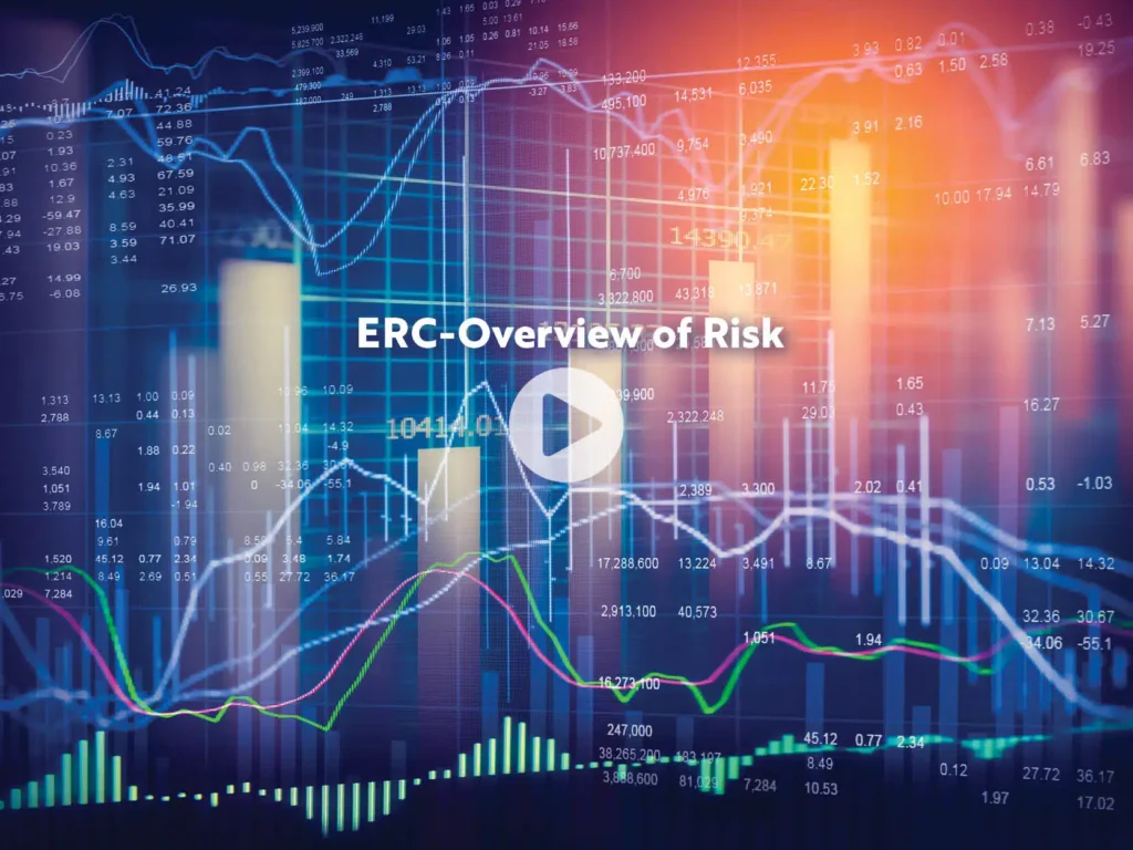 erc-overview-of-risk